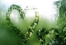 探索天涯论坛情感社区——那些温暖的瞬间