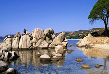 探索天涯论坛的原创文学世界！